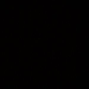 Meet your Posher, Julio